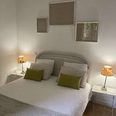 Maison Independante En Pierre Du Pays, Jardin,clim,wifi,tnt A 5 Mn De La Holiday home